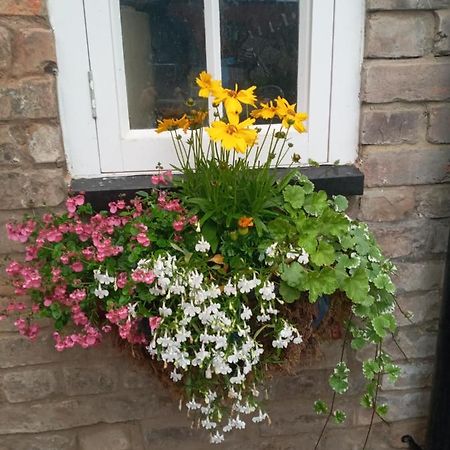 Delighful Self Catering In The Heart Of Glastonbury Exteriör bild